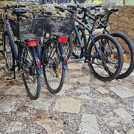 Studio Dubravka Mali Losinj Exterior photo